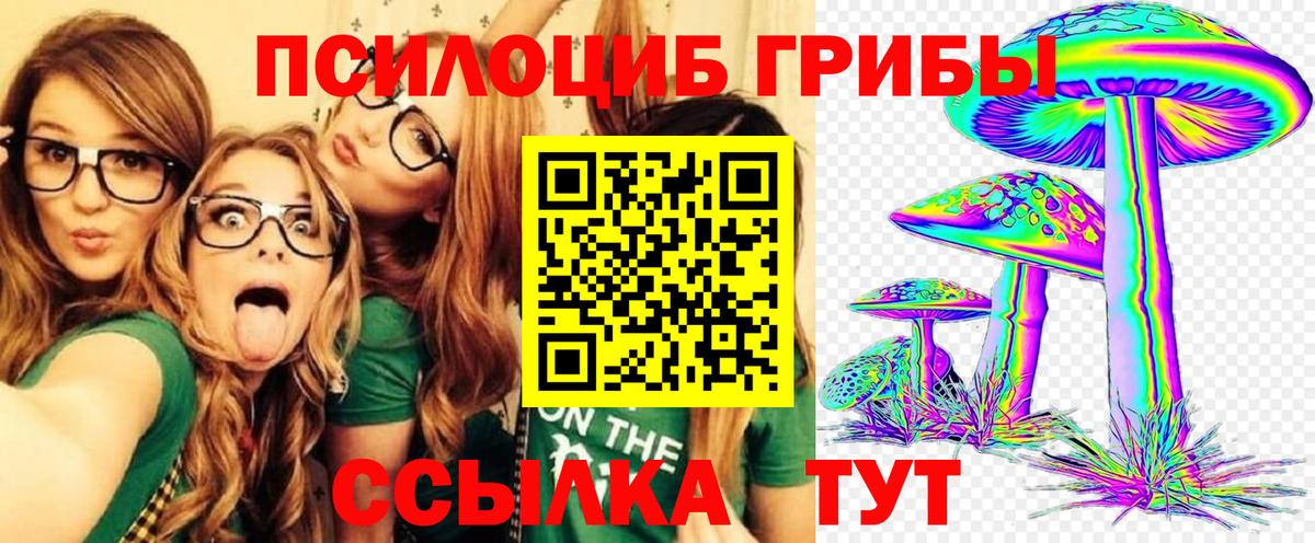 Псилоцибиновые грибы Psilocybe Сосновоборск
