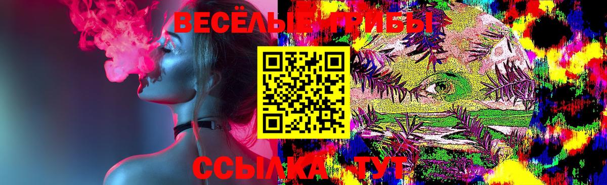 Псилоцибиновые грибы Cubensis  наркошоп  Сосновоборск  Вход с VPN 